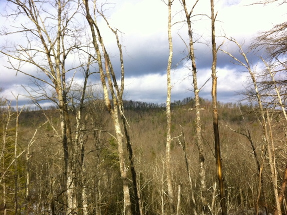 Red River Gorge - 13